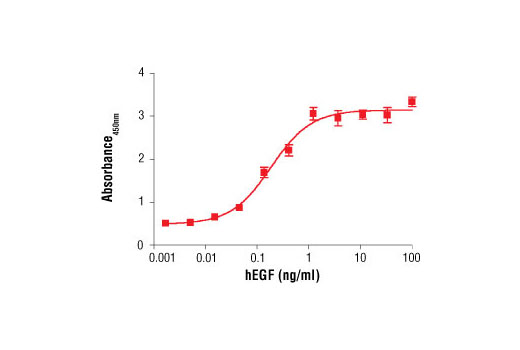 BrdU Cell Proliferation Assay Kit