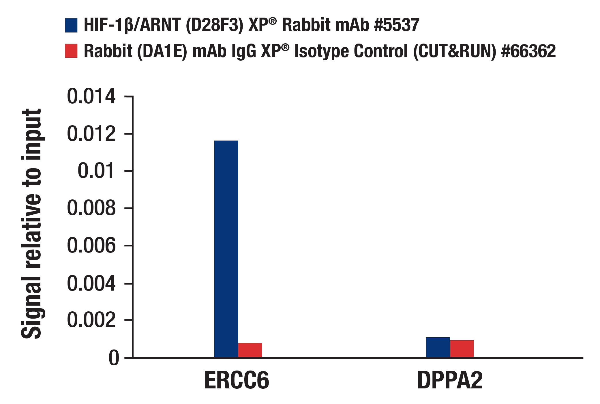 Hypoxia Pathway Antibody Sampler Kit