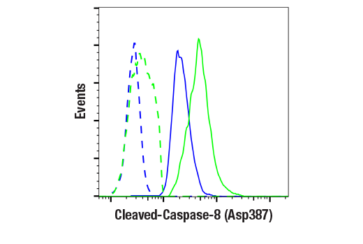 Apoptosis Antibody Sampler Kit (Mouse Preferred)