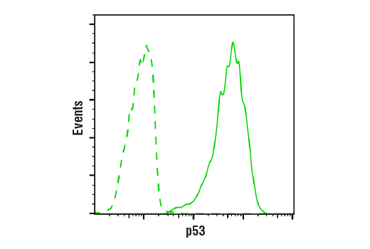 p53 Antibody Sampler Kit