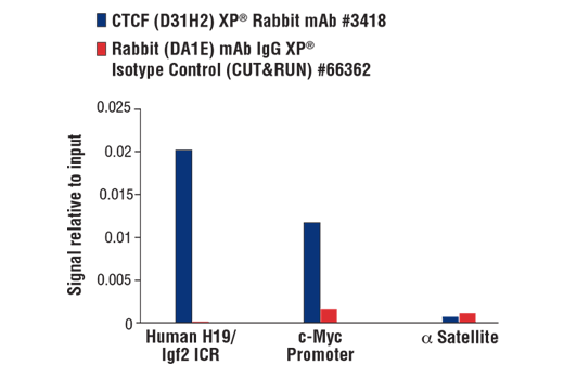 Rabbit (DA1E) mAb IgG XP ®  Isotype Control (CUT&amp;RUN)