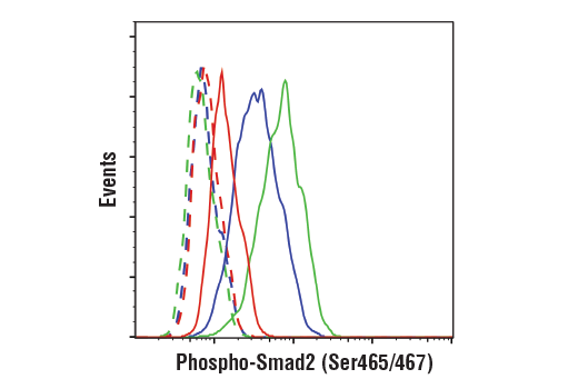 TGF-beta Fibrosis Pathway Antibody Sampler Kit
