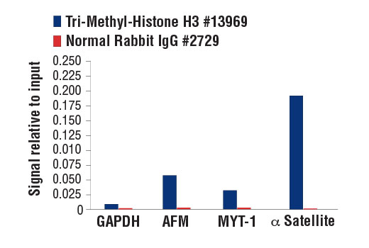 Methyl-Histone H3 (Lys9) Antibody Sampler Kit