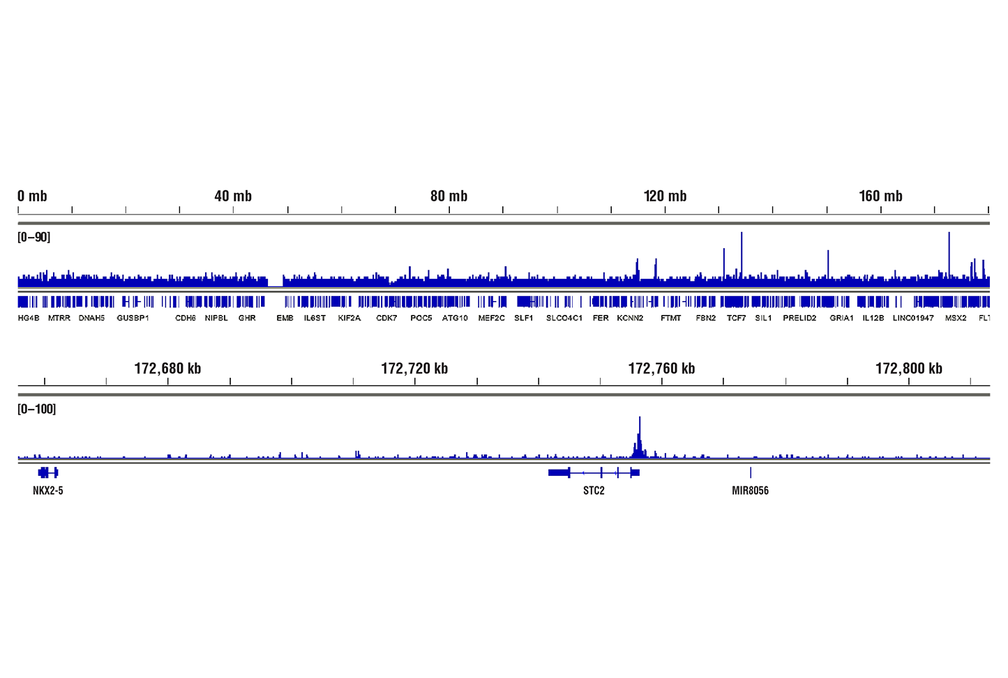 Hypoxia Pathway Antibody Sampler Kit