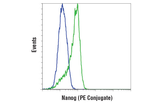 Nanog (D73G4) XP ®  Rabbit mAb (PE Conjugate)