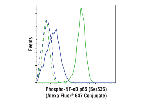 Phospho-NF-kappaB p65 (Ser536) (93H1) Rabbit mAb (Alexa Fluor ® 647 Conjugate)