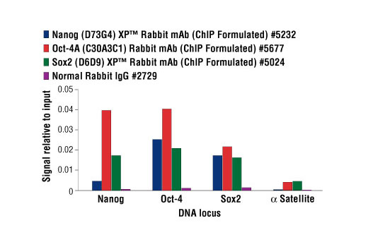 Nanog (D73G4) XP ®  Rabbit mAb (ChIP Formulated)