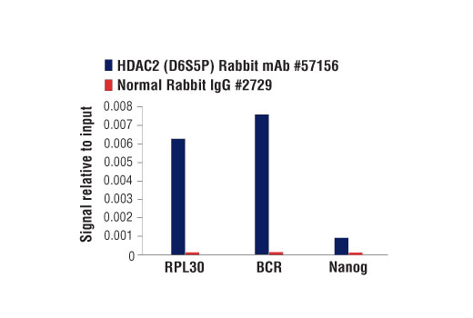 Class I HDAC Antibody Sampler Kit