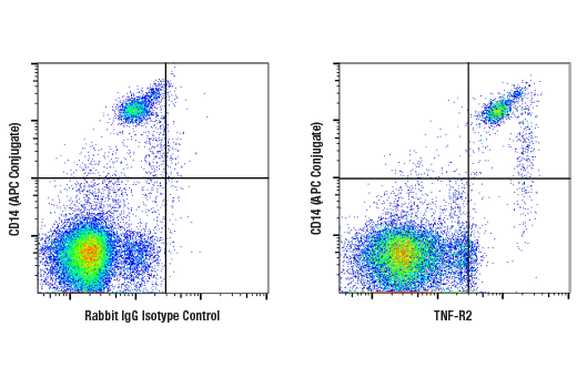 Death Receptor Antibody Sampler Kit