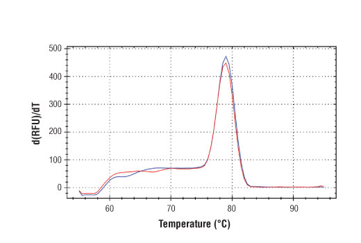 SimpleChIP ®  Human c-Fos Upstream Primers