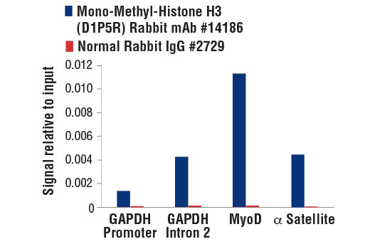 Methyl-Histone H3 (Lys9) Antibody Sampler Kit