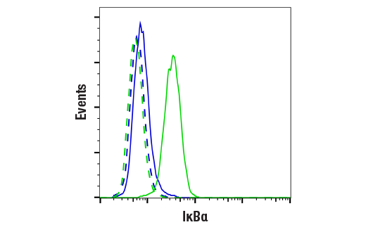 NF-kappaB Pathway Antibody Sampler Kit