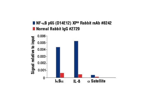 NF-kappaB Pathway Antibody Sampler Kit