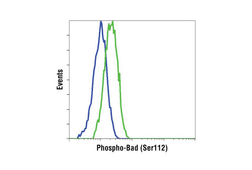 Pro-Apoptosis Bcl-2 Family Antibody Sampler Kit