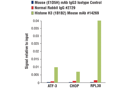 Mouse (E1D5H) mAb IgG3 Isotype Control