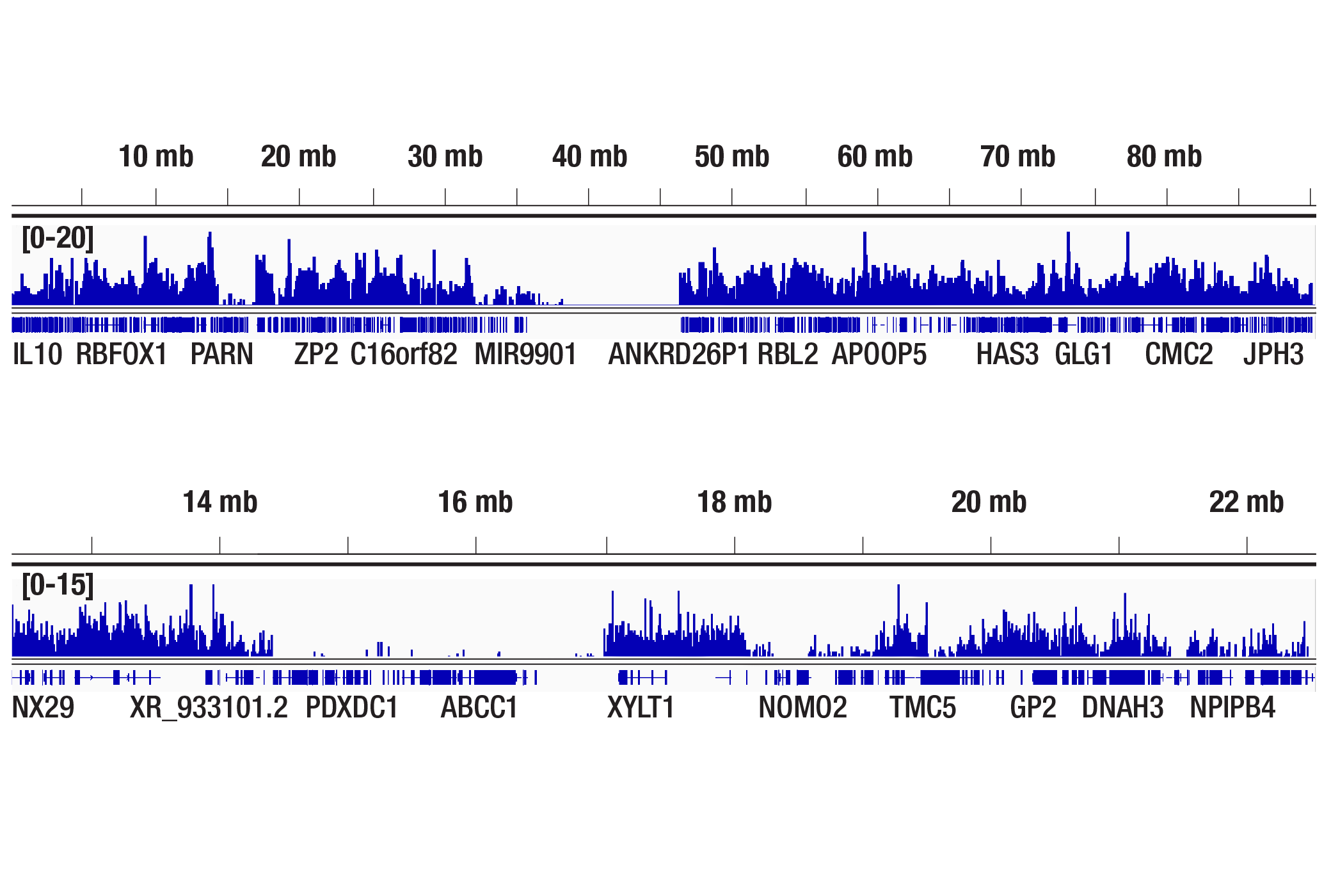 Methyl-Histone H3 (Lys9) Antibody Sampler Kit