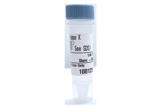 Proteinase K (20 mg/ml)