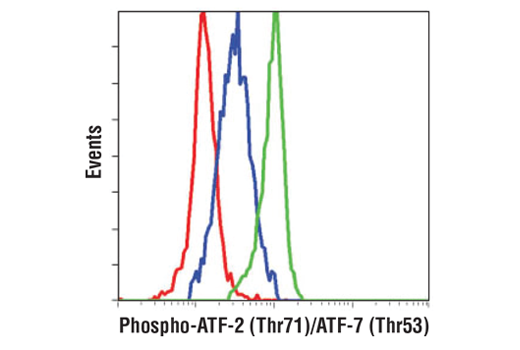 Phospho-p38 MAPK Pathway Antibody Sampler Kit
