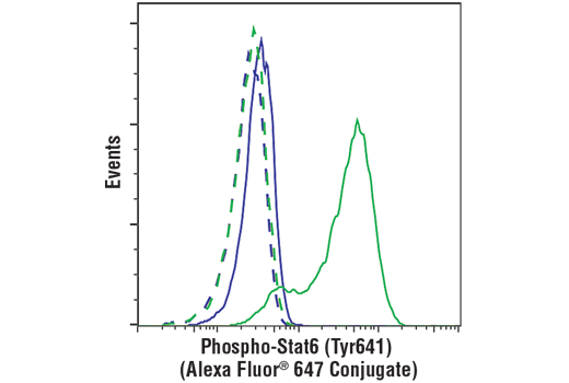 Phospho-Stat6 (Tyr641) (D8S9Y) Rabbit mAb (Alexa Fluor ® 647 Conjugate)