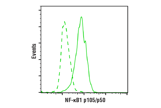 NF-kappaB Pathway Antibody Sampler Kit II