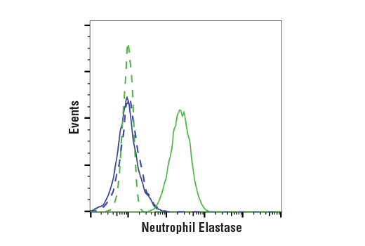 Neutrophil Elastase (E9C9L) XP ®  Rabbit mAb (Alexa Fluor ®  647 Conjugate)