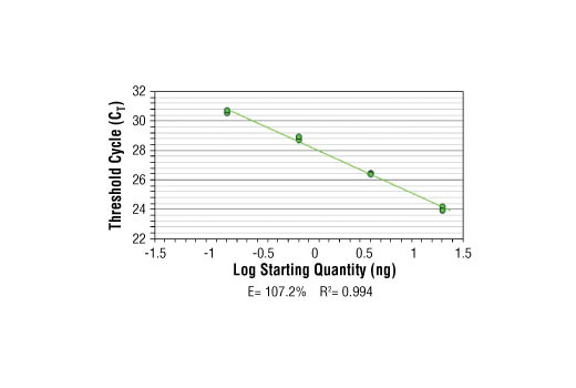 SimpleChIP ®  Human CDKN1A Intron 1 Primers