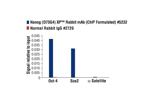 Nanog (D73G4) XP ®  Rabbit mAb (ChIP Formulated)