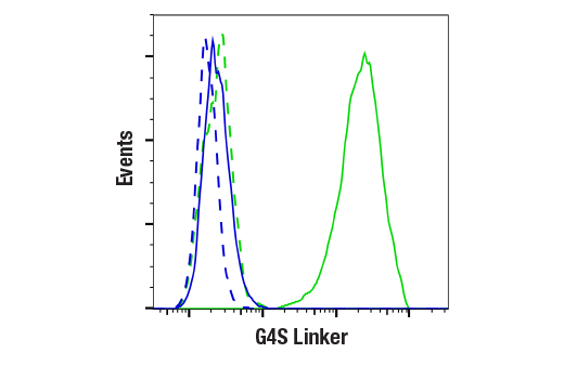 G4S Linker (E7O2V) Rabbit mAb