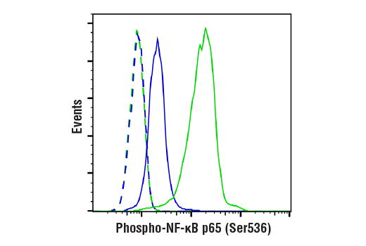 NF-kappaB Pathway Antibody Sampler Kit