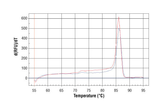 SimpleChIP ®  Human CDKN1A Intron 1 Primers