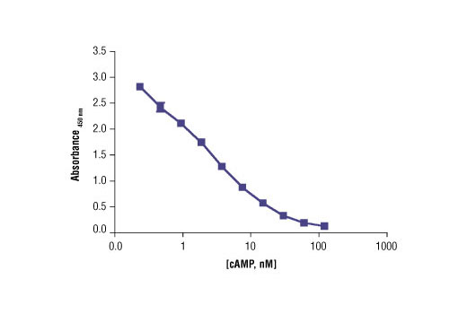 Cyclic AMP XP ®  Assay Kit