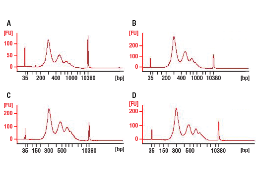 DNA Library Prep Kit for Illumina Systems (ChIP-seq, CUT&RUN)