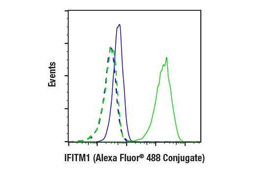 IFITM1 (D5P5J) Rabbit mAb (Alexa Fluor ®  488 Conjugate)