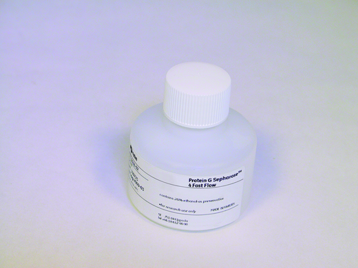 PROTEIN G SEPHAROSE 4 FF, 25 ML