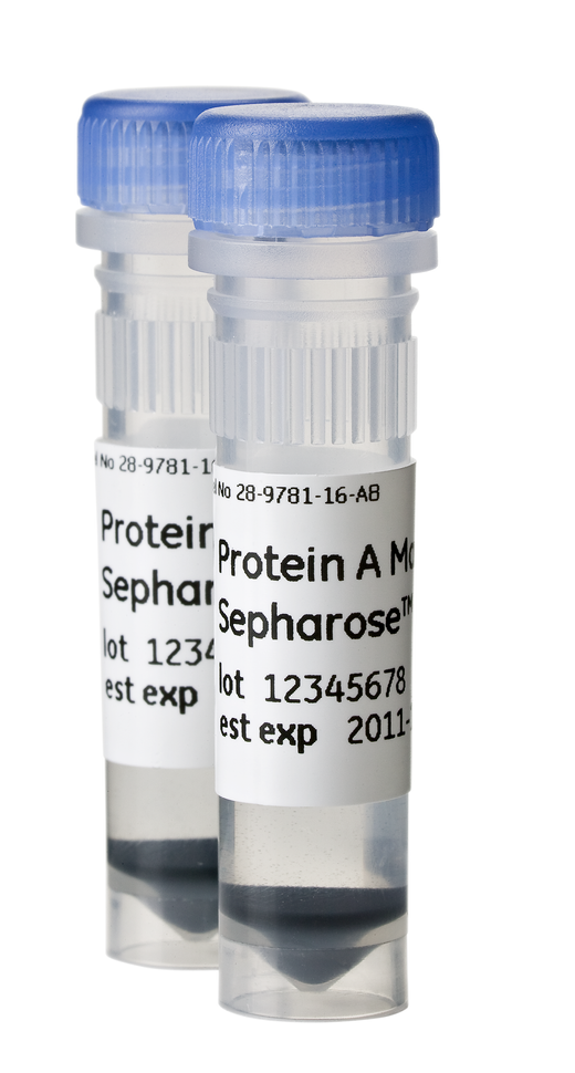 Protein A Mag Sepharose Xtra 2x1ml