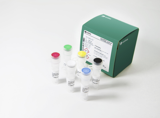 Single Cell GenomiPhi 25rxn kit