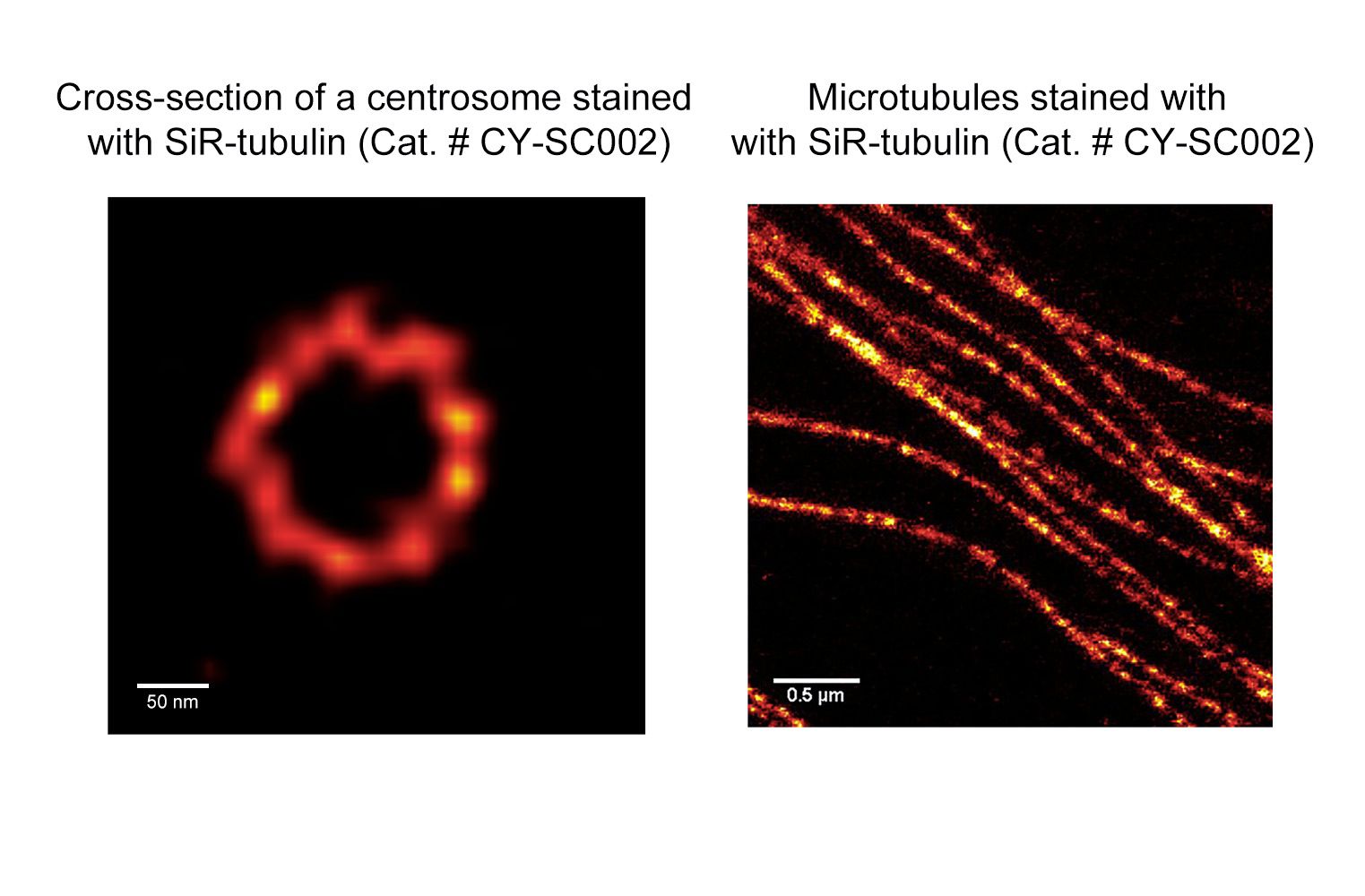 SiR-Tubulin Kit