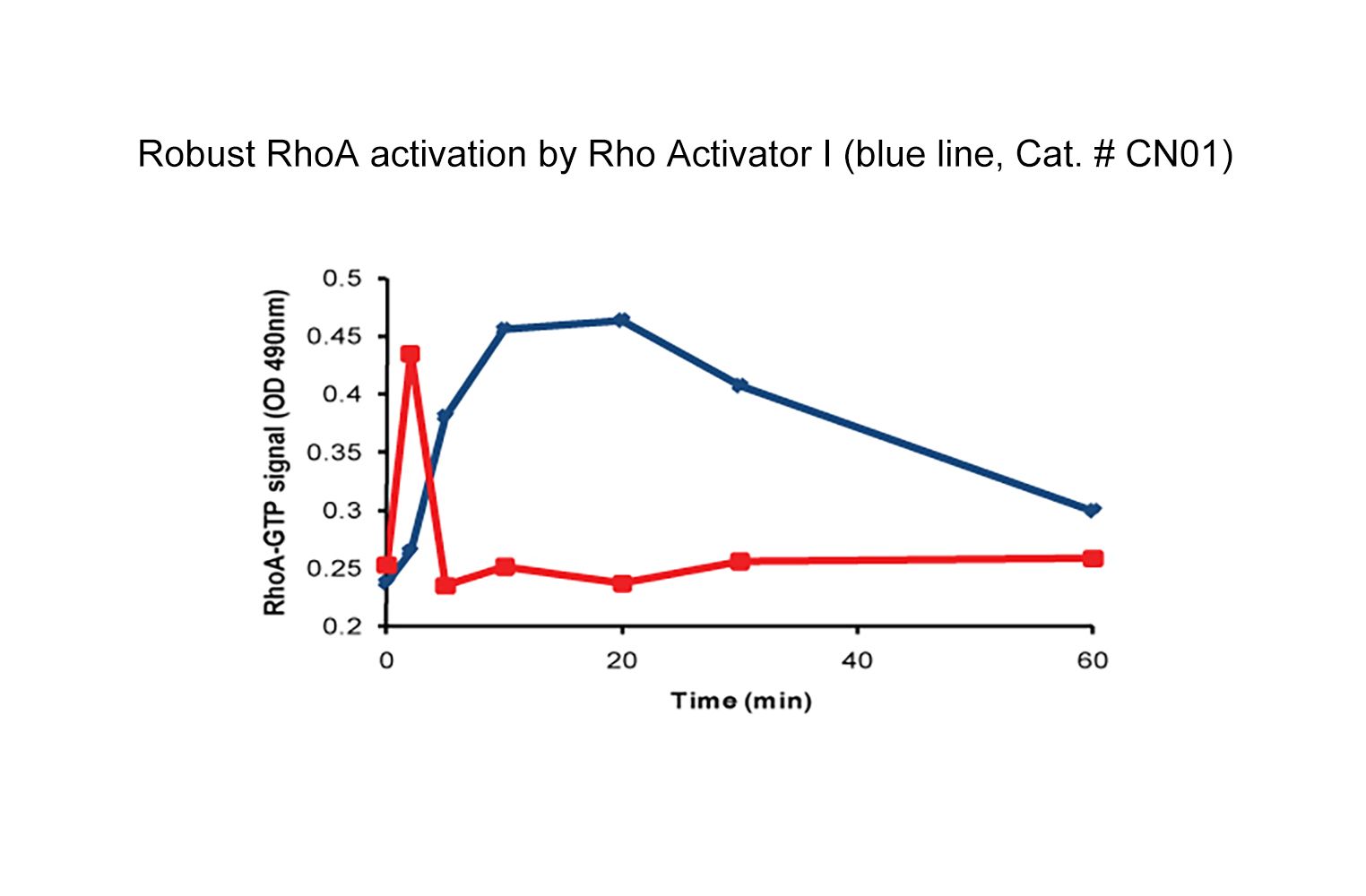 Rho Activator I