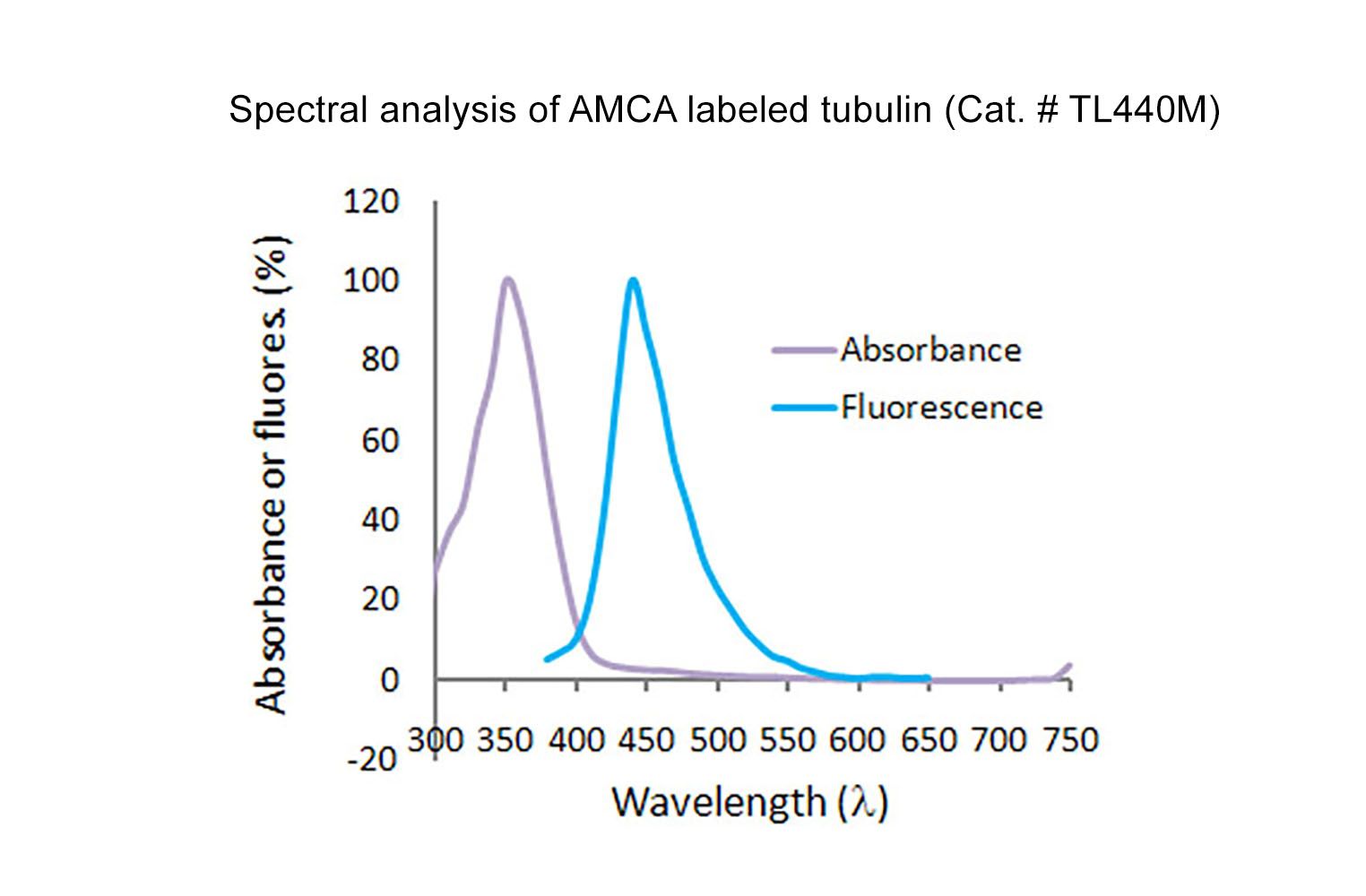 Tubulin protein (fluorescent AMCA) - porcine brain