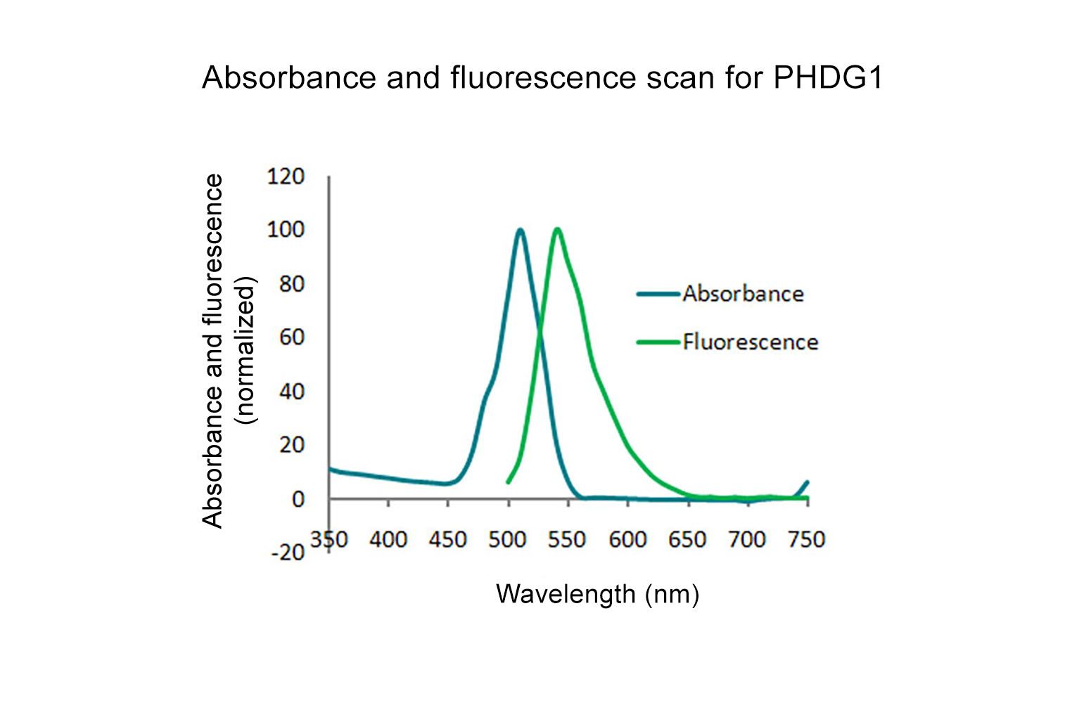Acti-stain 488 phalloidin