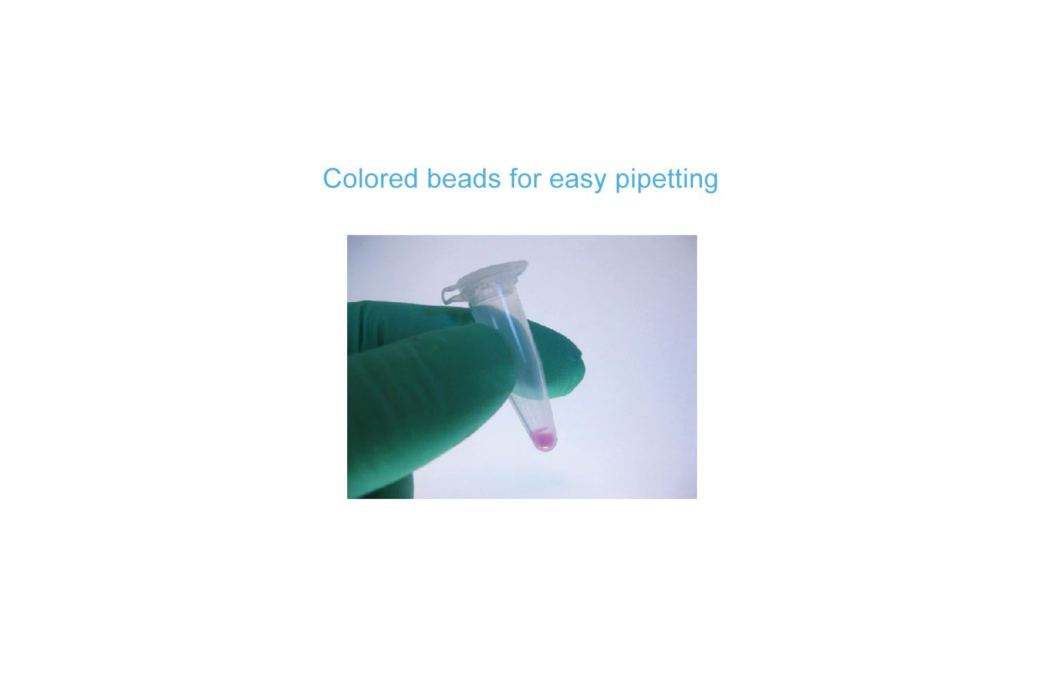 RhoA Pull-down Activation Assay Biochem Kit (bead pull-down format)
