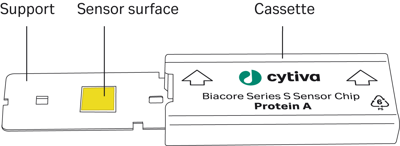 Series S Sensor Chip Protein A 1-p