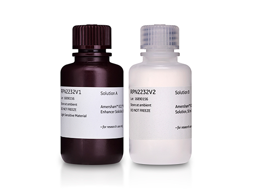 ECL Prime Western Blotting Detection Reagent