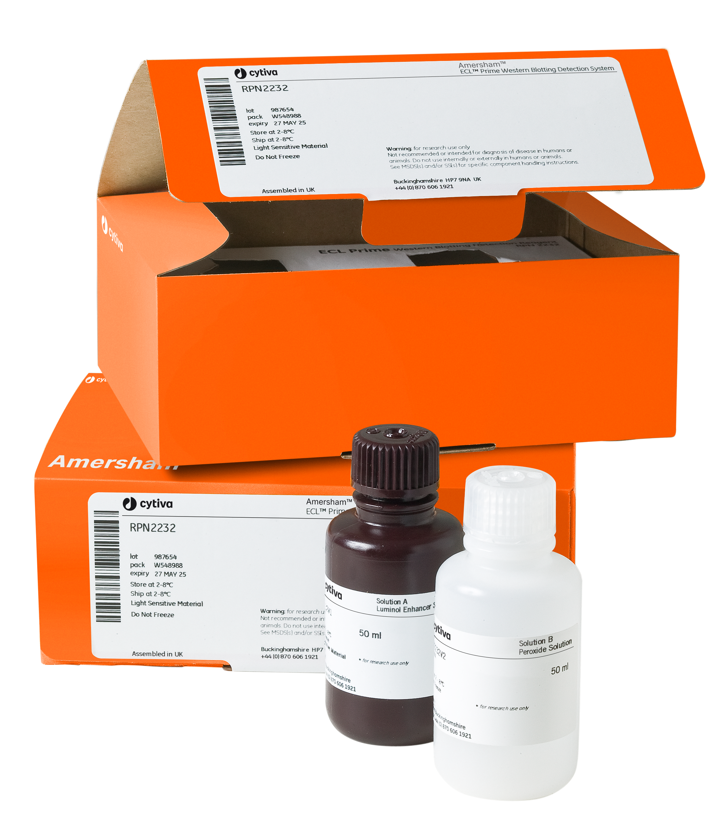 ECL Prime Western Blotting Detection Reagent