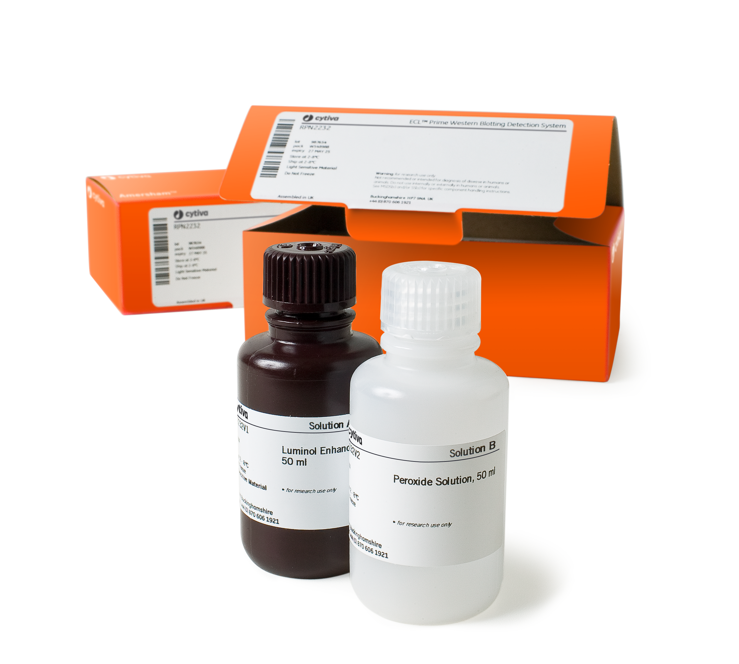 ECL Prime Western Blot Detection Reagent