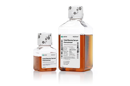 New Zealand Characterized Foetal Bovine Serum