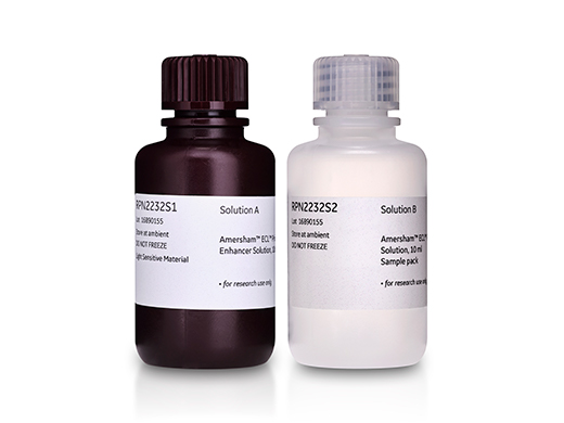 ECL Prime Western Blotting Detection Reagent