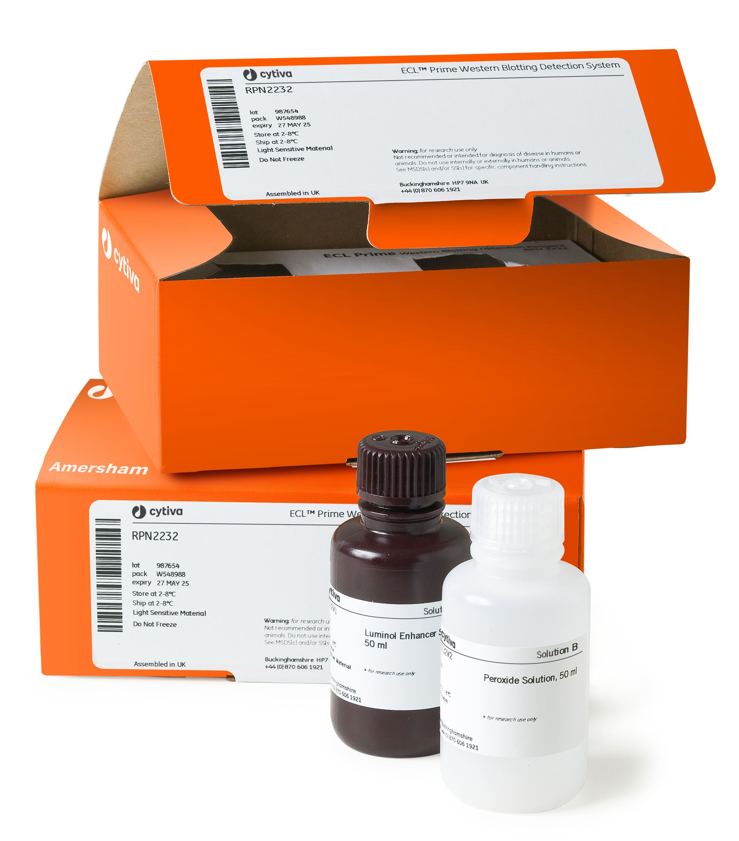 ECL Prime Western Blotting Detection Reagent
