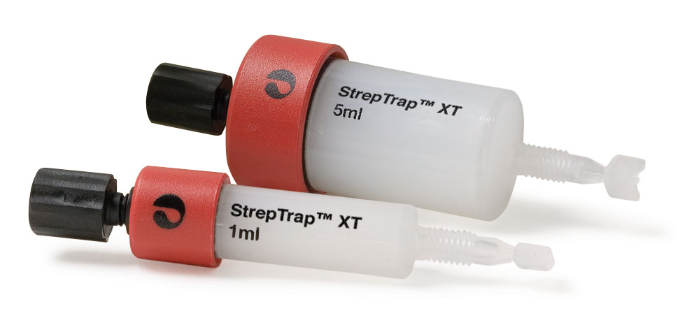 StrepTrap XT 1 x 5mL