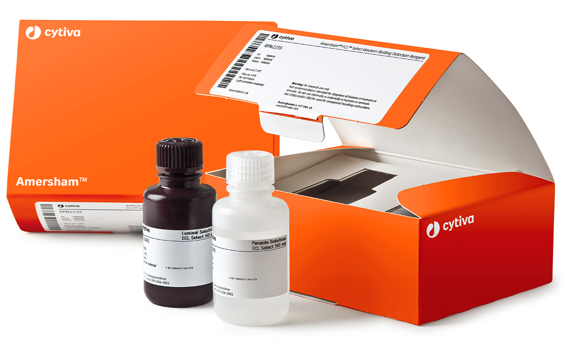 ECL Select WB Detection Reagent